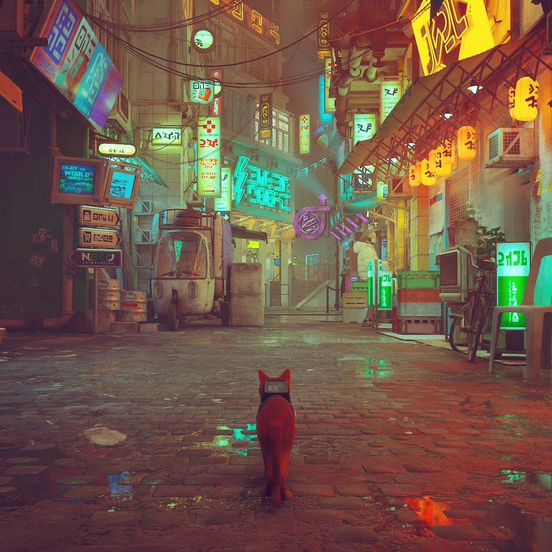Stray Playstation 5 Gameplay Arcana Gameshop Schweiz Kaufen