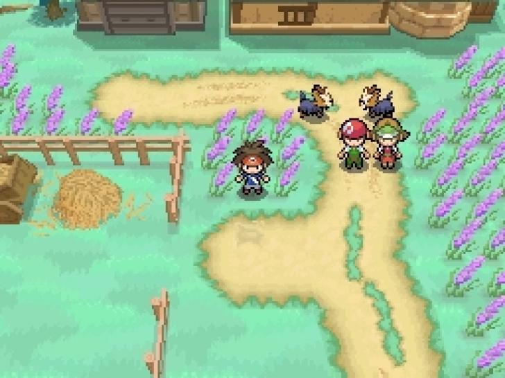 Gameplay Scene Pokémon Weisse Edition 2 Nintendo DS Kaufen Schweiz im Arcana Gameshop