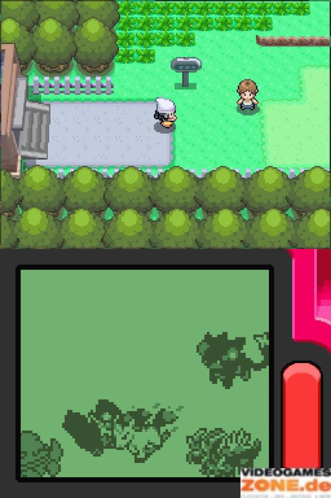 Pokémon Platin Edition für den Nintendo DS Gameplay Spielewelt